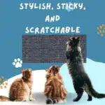 Cat scratching mat - Can protect furniture