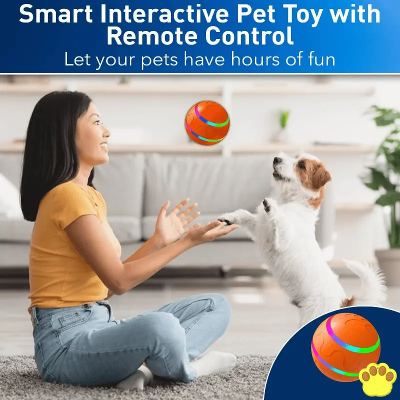 Pet training toy