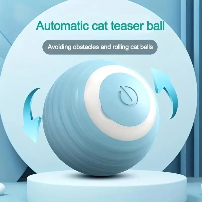 Indoor Cat Entertainment