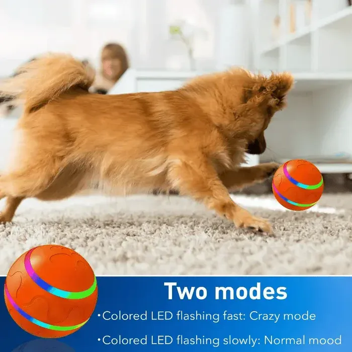 Gift for pet owners